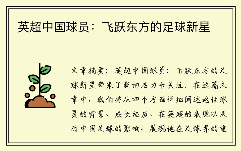 英超中国球员：飞跃东方的足球新星